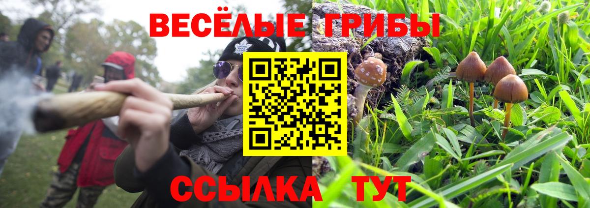 Галлюциногенные грибы Cubensis  купить наркоту  Вход с VPN  Борзя  Псилоцибиновые грибы Psilocybe 